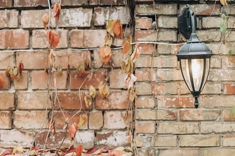 Insights from Just Electric LLC